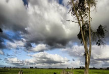 国足U23最新赛程时间表是怎样的？