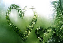 NBA火箭今日有视频直播吗？赛程、对阵及观赛指南全解析